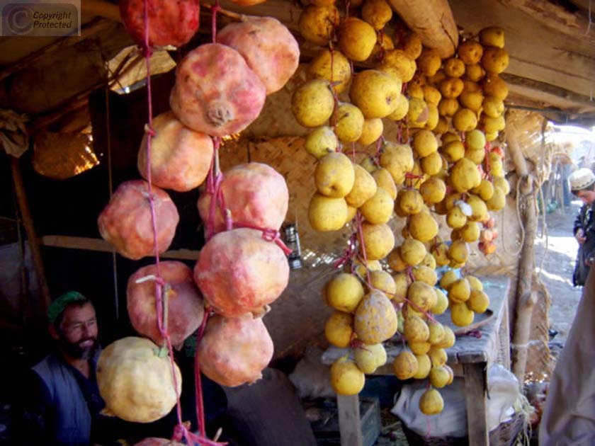 Fruit Hanging